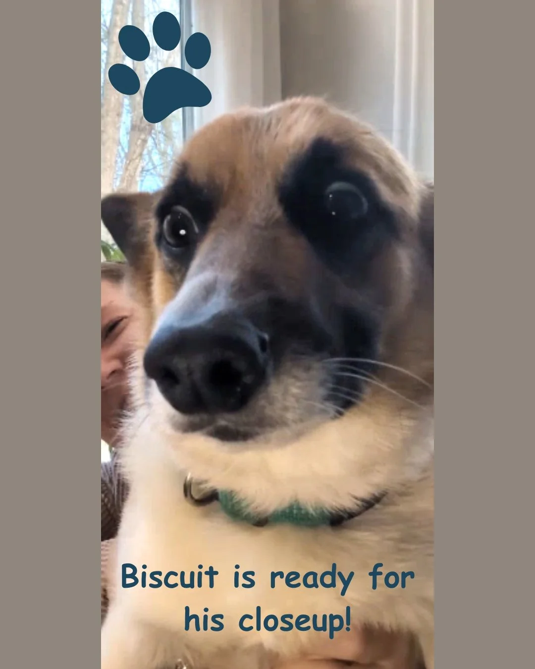 My favorite office buddy and unofficial head of morale 🐾