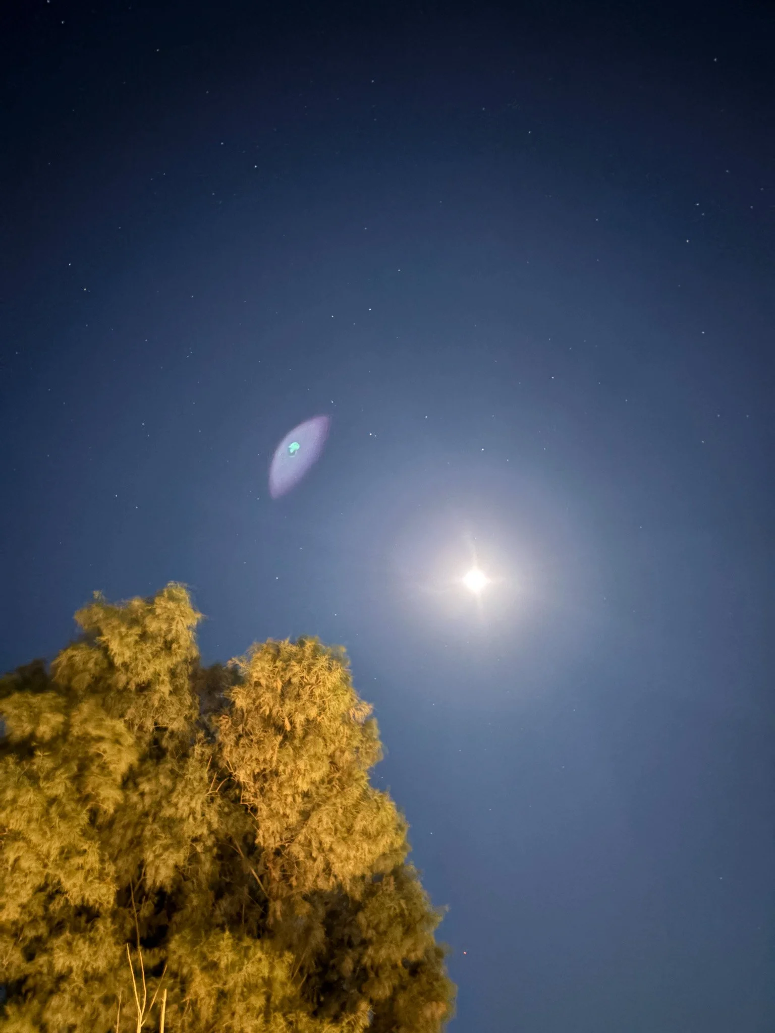 Post Full Moon Group Biofield Tuning Reflections