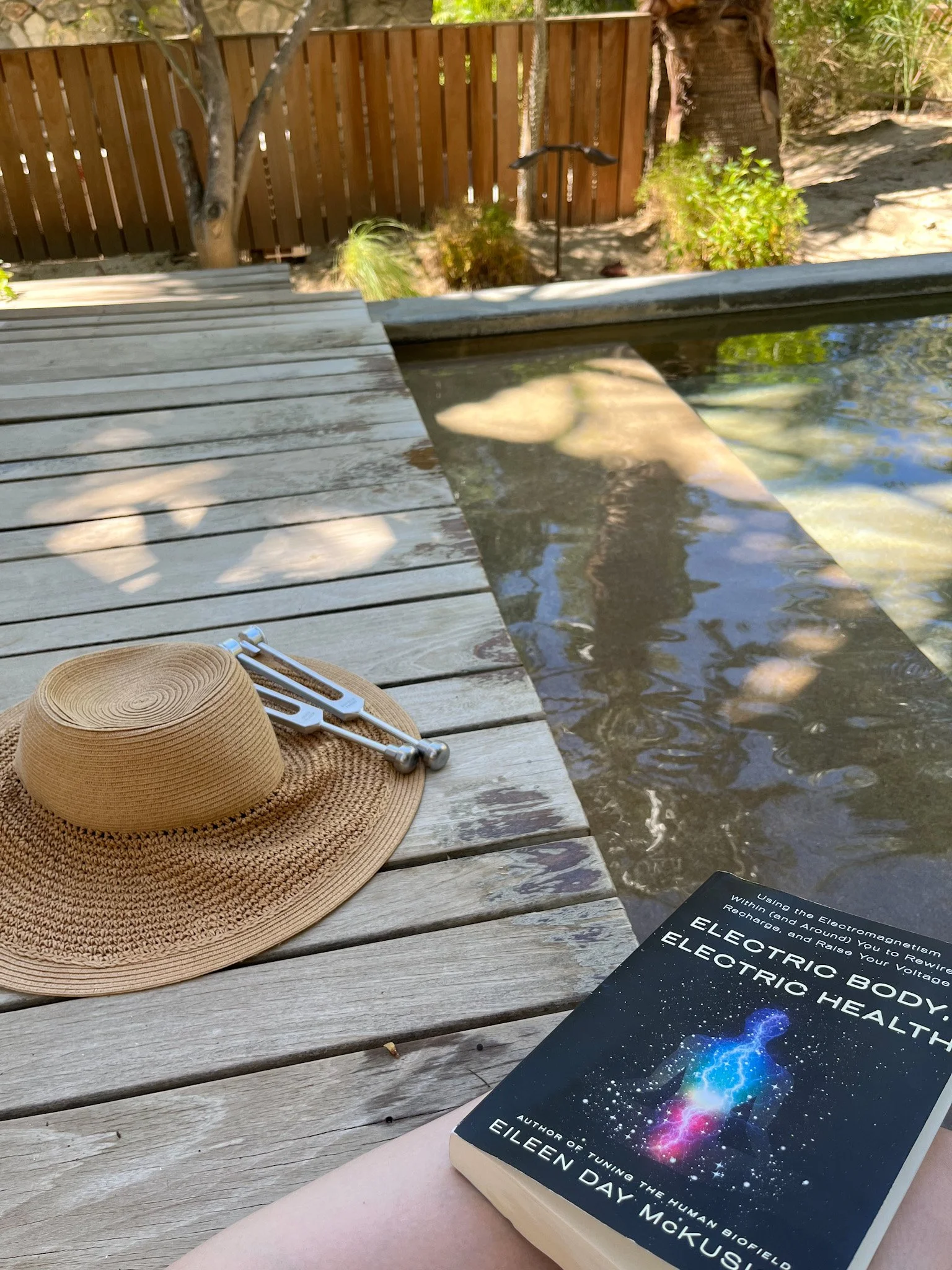 Two sonic sliders and Electric Body Electric Health by Eileen McKusick