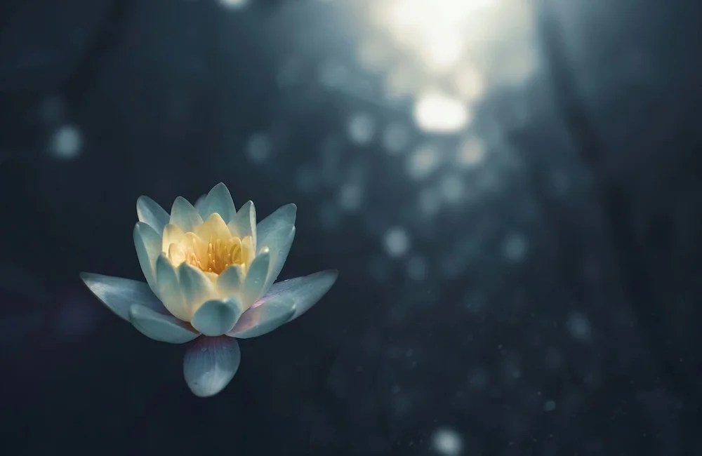 We Become What We Practice
