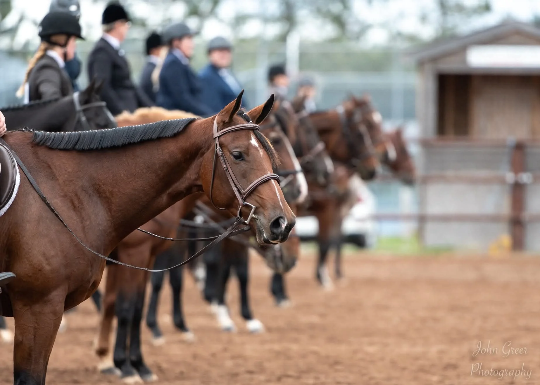 Kings County Fun Show