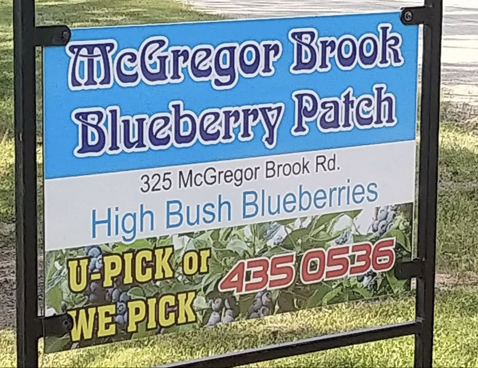 Farmstand Shopping - McGregor Brook Blueberry Patch 