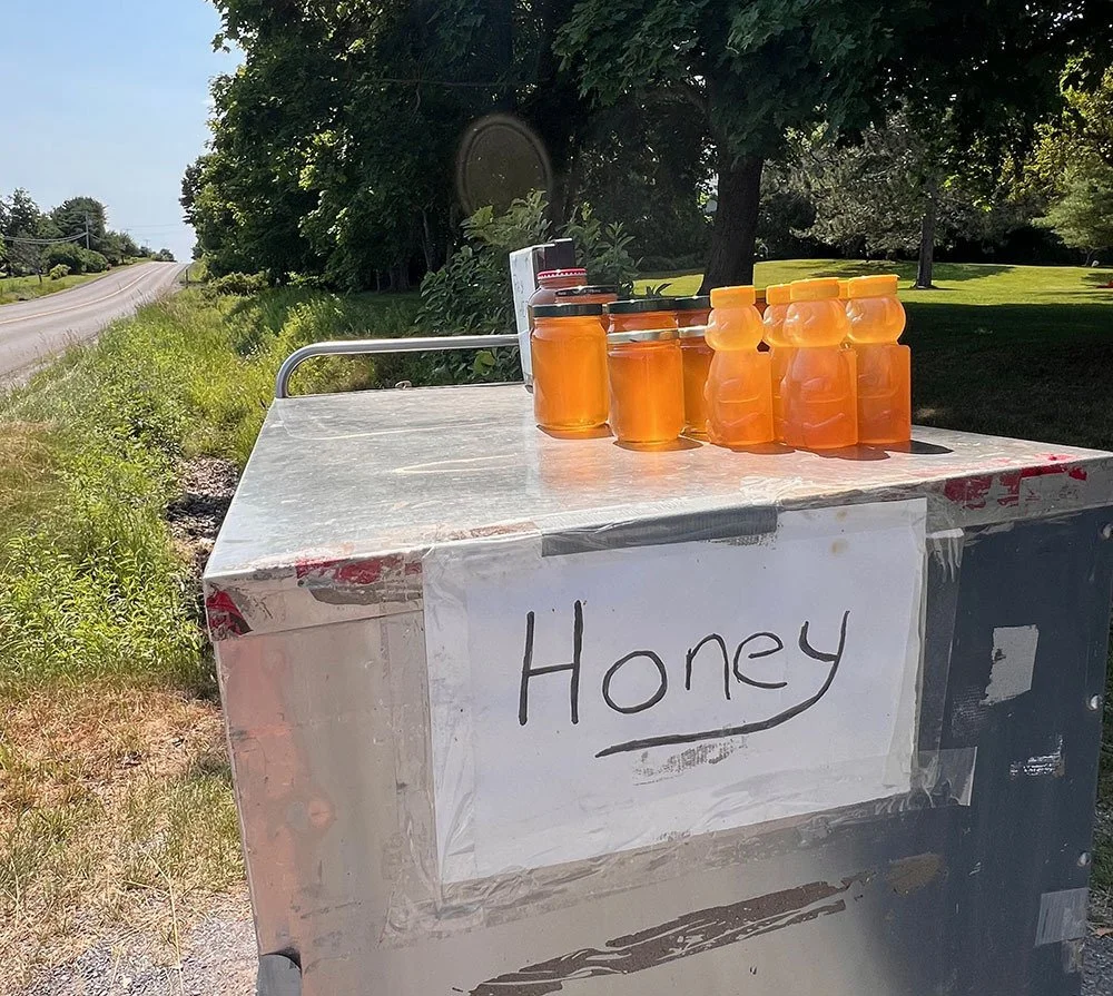 Farmstand Shopping - Honey