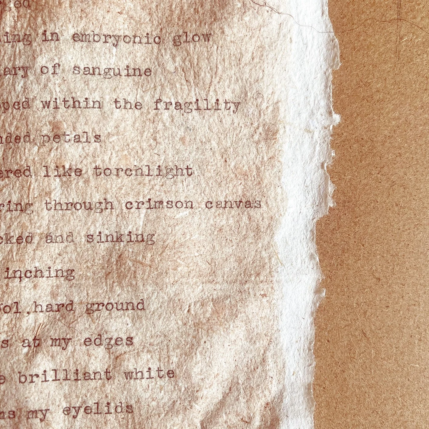 &lsquo;red&rsquo;
guelder rose ink, grass &amp; nettle paper

written September 2024 after laying out in the orchard @bodenhamlake nature reserve

#dycp #wildwriting #poet #queernature #botanicalinks #papermaking