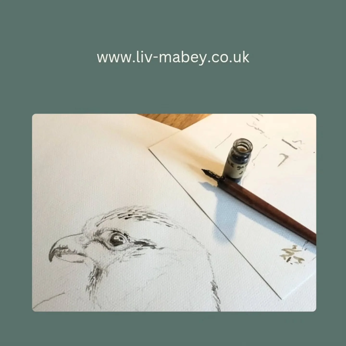 Time to share my website with you, funded by @aceagrams Arts Council England as part of my DYCP year at Bodenham lake, a @herefordshirewildlifetrust reserve. I hope you enjoy engaging with it as it develops.

Thank you, Al, for pulling all of this to