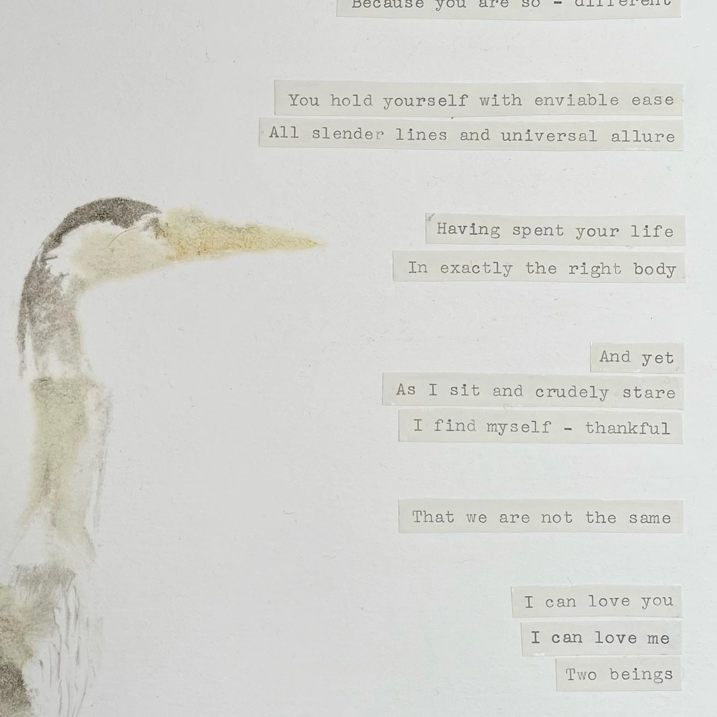 heron

silver birch bark, spindle charcoal, apple bark and leaves, hawthorn bark and leaves, linseed oil; typewritten papers attached with gum Arabic

#queernature #poetrycommunity #monotype #1of1