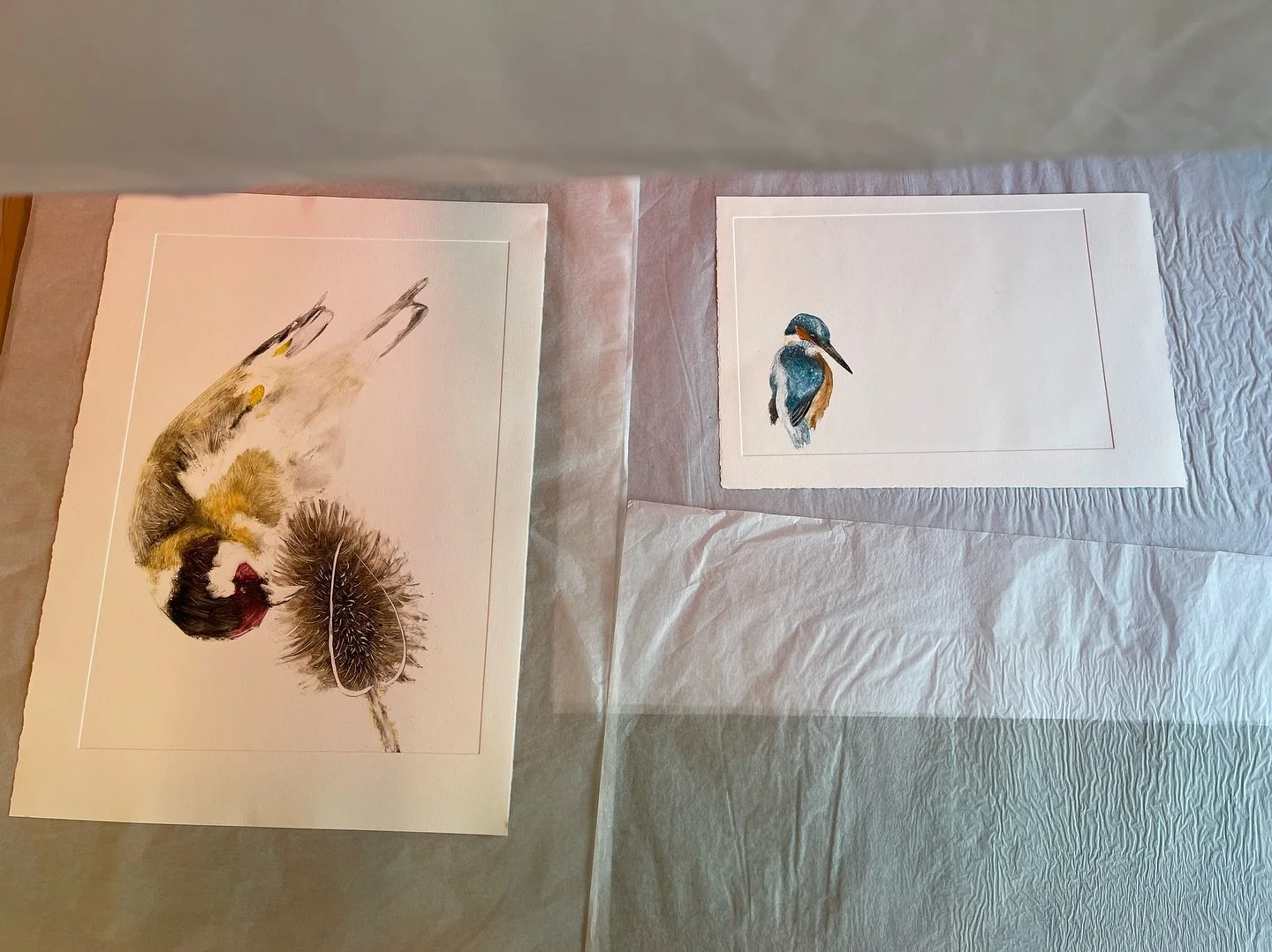 taken a little time to get back here

back @theyardprintstudio today, back in the zone with all the feels - thank you so much Nic

even managed to add a few lines to my blog the other day

smiles for the blue sky and a bit of courage 

#queernature #