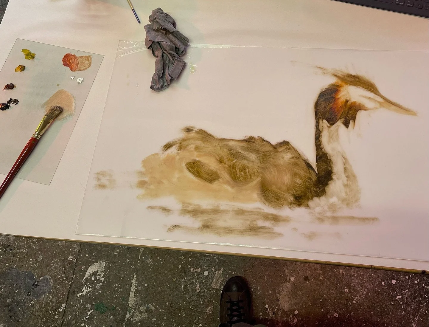 first saw these stripy little guys in October 2024, then this year in early July @___kruse and I had been watching a female on the lake when we spotted a couple of heads poking out from her plumage - brilliant 🧡

monotype print in oils @theyardprint