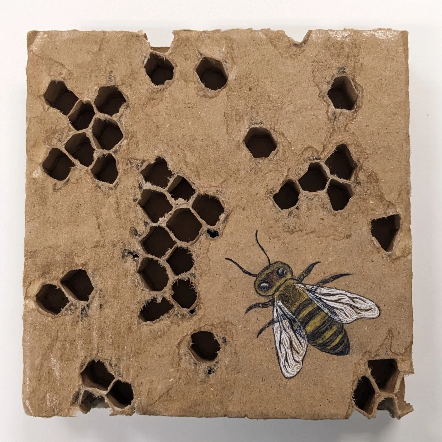 Minding My Own Bees-Knees (2024)
