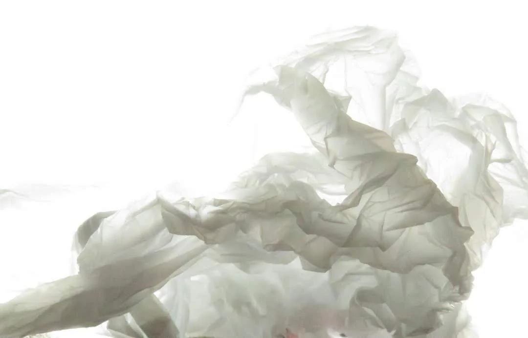 Reuse, Reduce, Reimagine (2019)