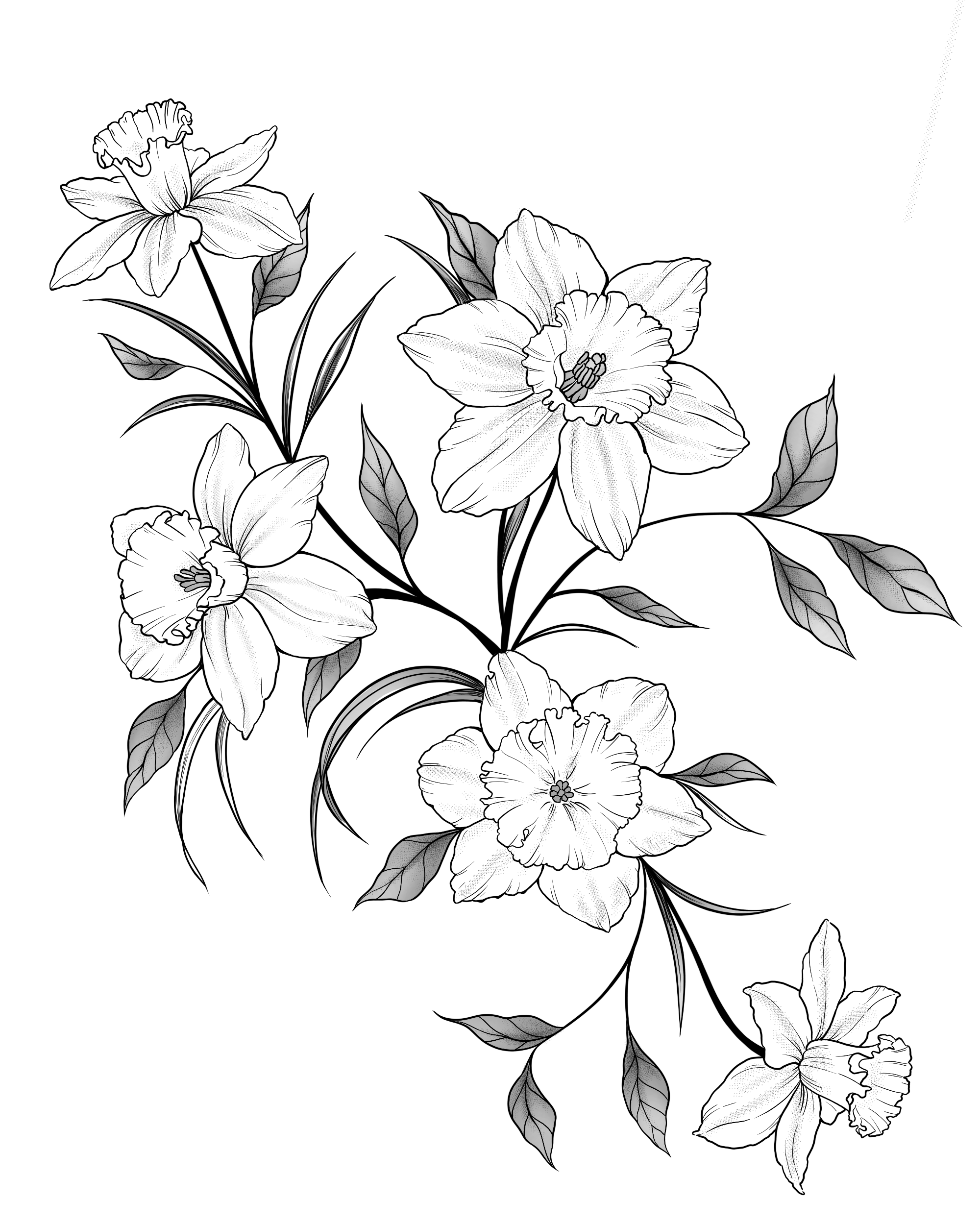 Untitled 27_Original.png
