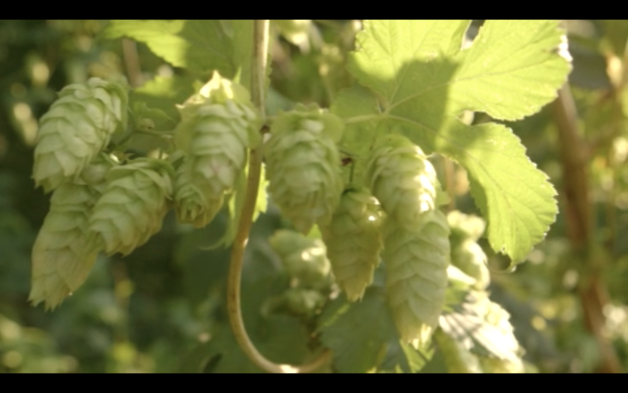 Bildschirmfoto 2016-04-27 um 19.14.29.png