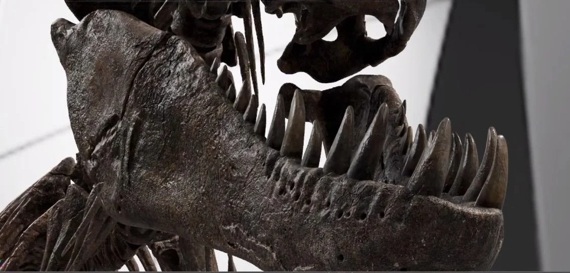 Screenshot 2023-09-11 130042.jpg