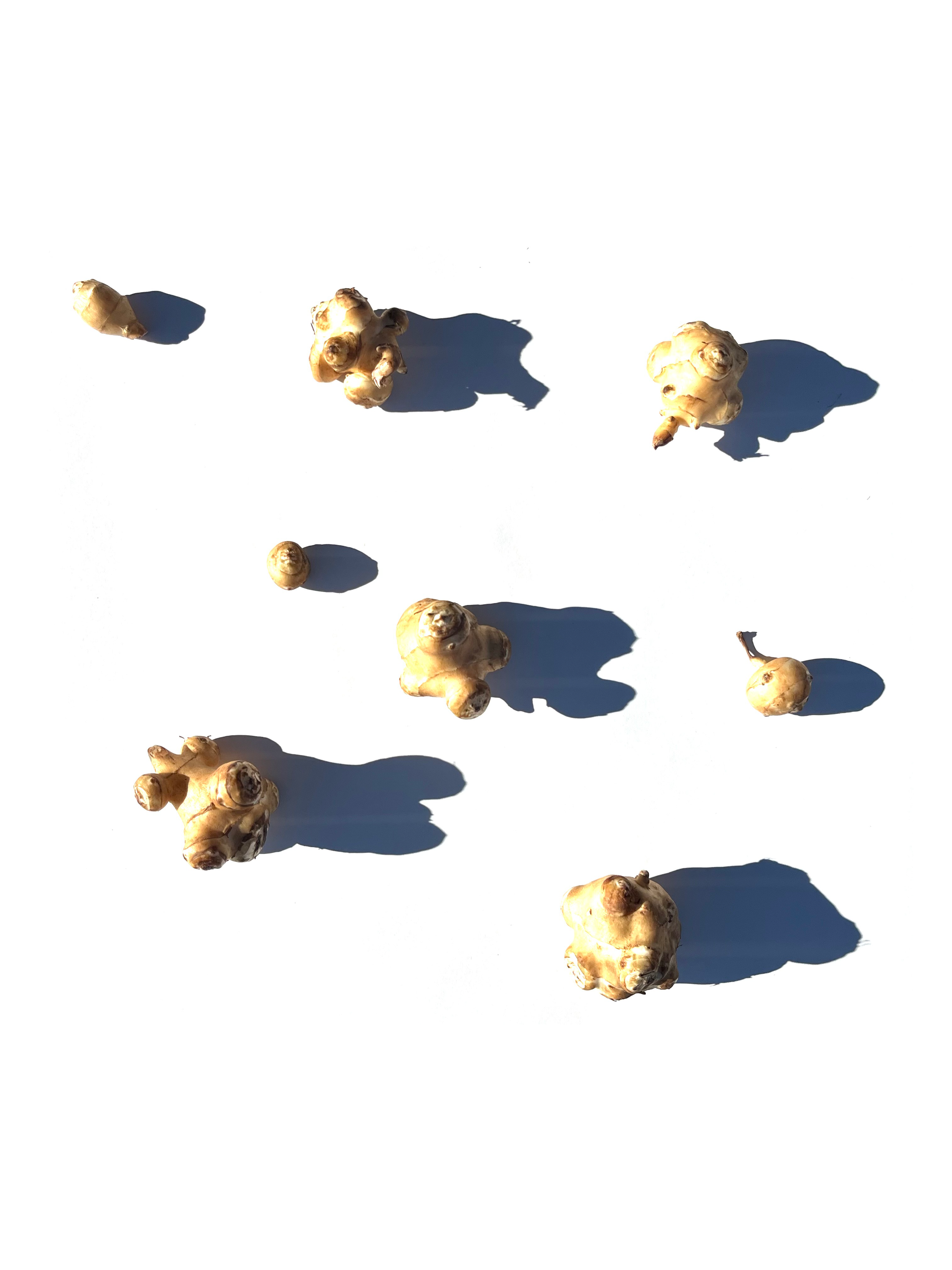sunchoke