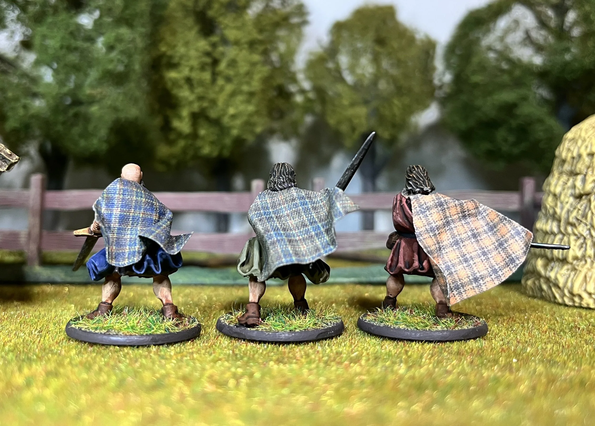 From behind, their cloaks mark them as one a shield wall of fabric and steel. United, they march toward the fight.