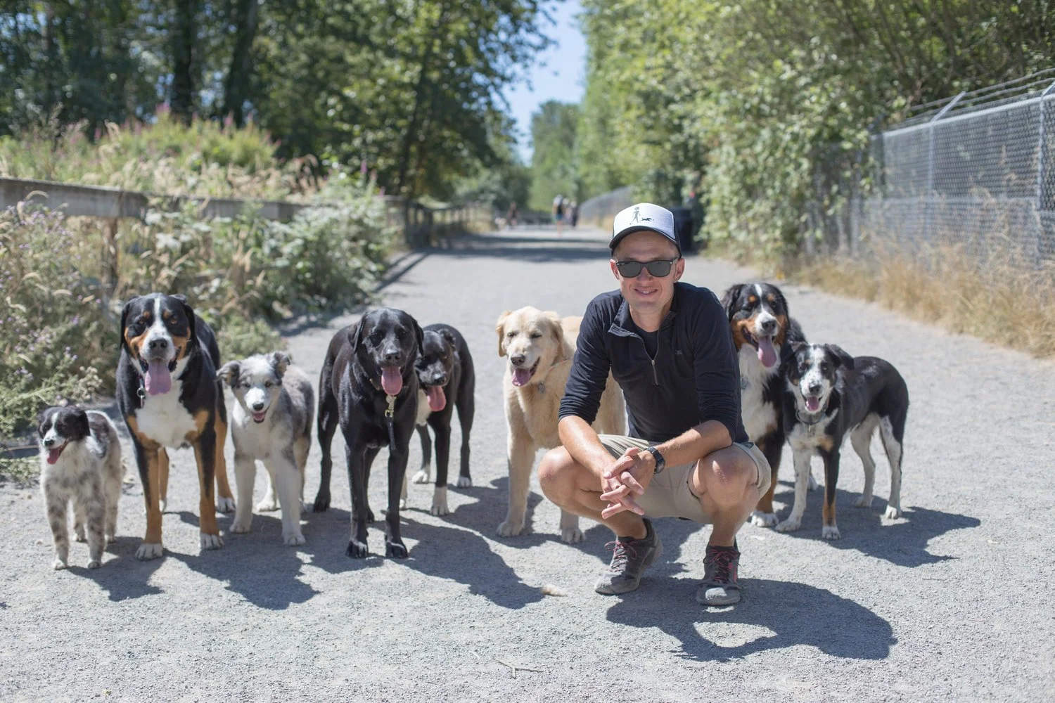A man wearing sunglasses, a black jacket, and a cap kneeling on a gravel path outdoors, surrounded by seven dogs of various breeds and sizes. The scene is sunny with trees and a wire fence in the background.