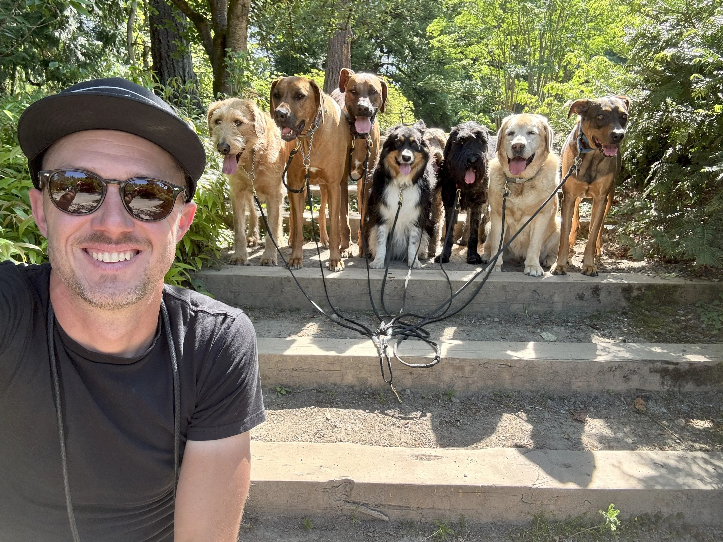 A man taking a selfie with eight dogs sitting on steps behind him in a wooded area.