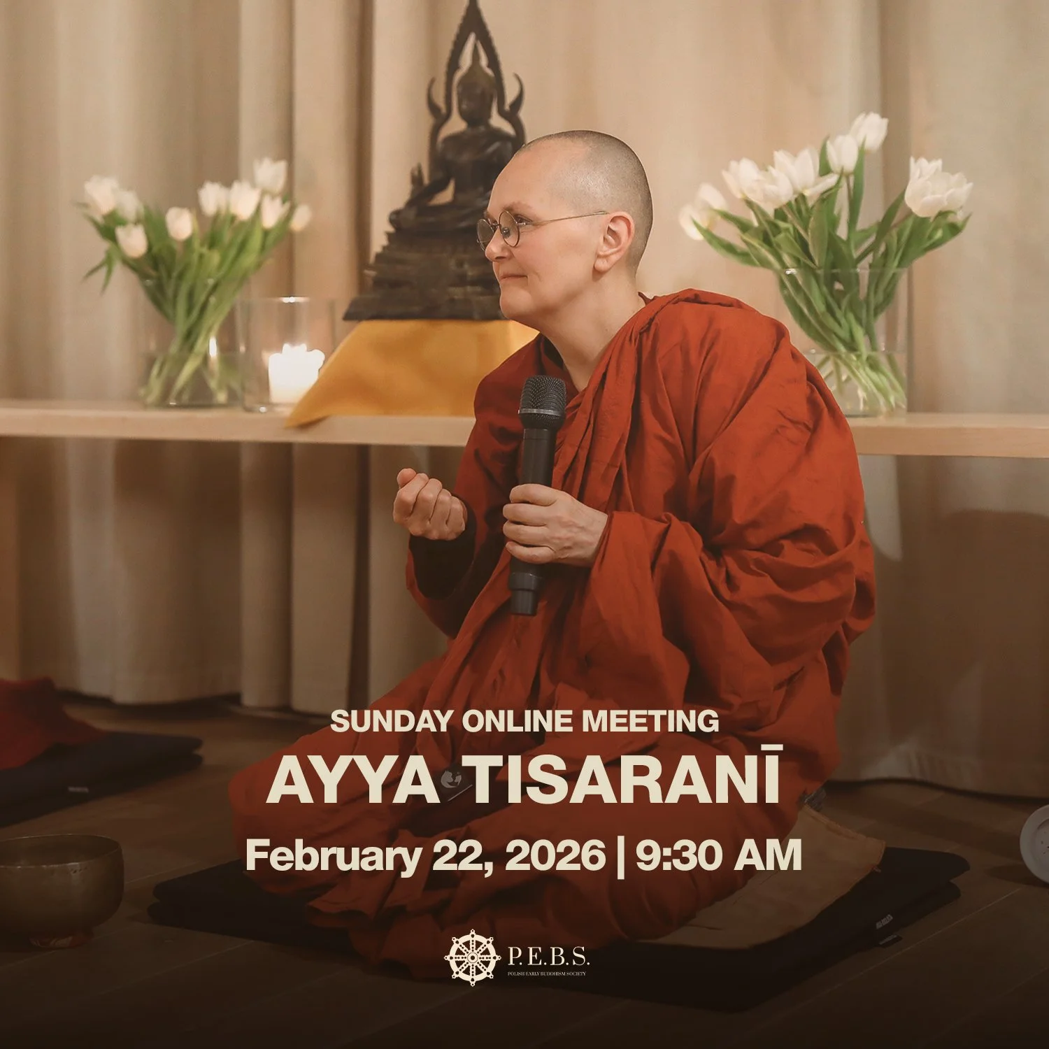 Online meeting with&nbsp;Ayya Tisaranī