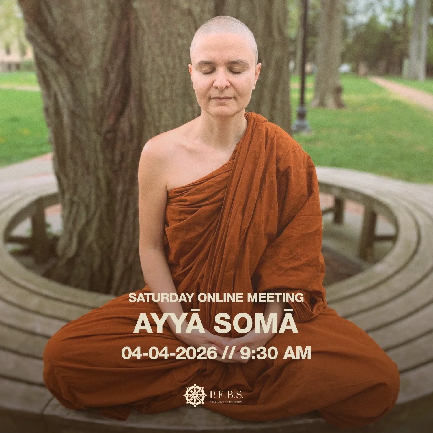 Online meeting with&nbsp;Ayyā Somā