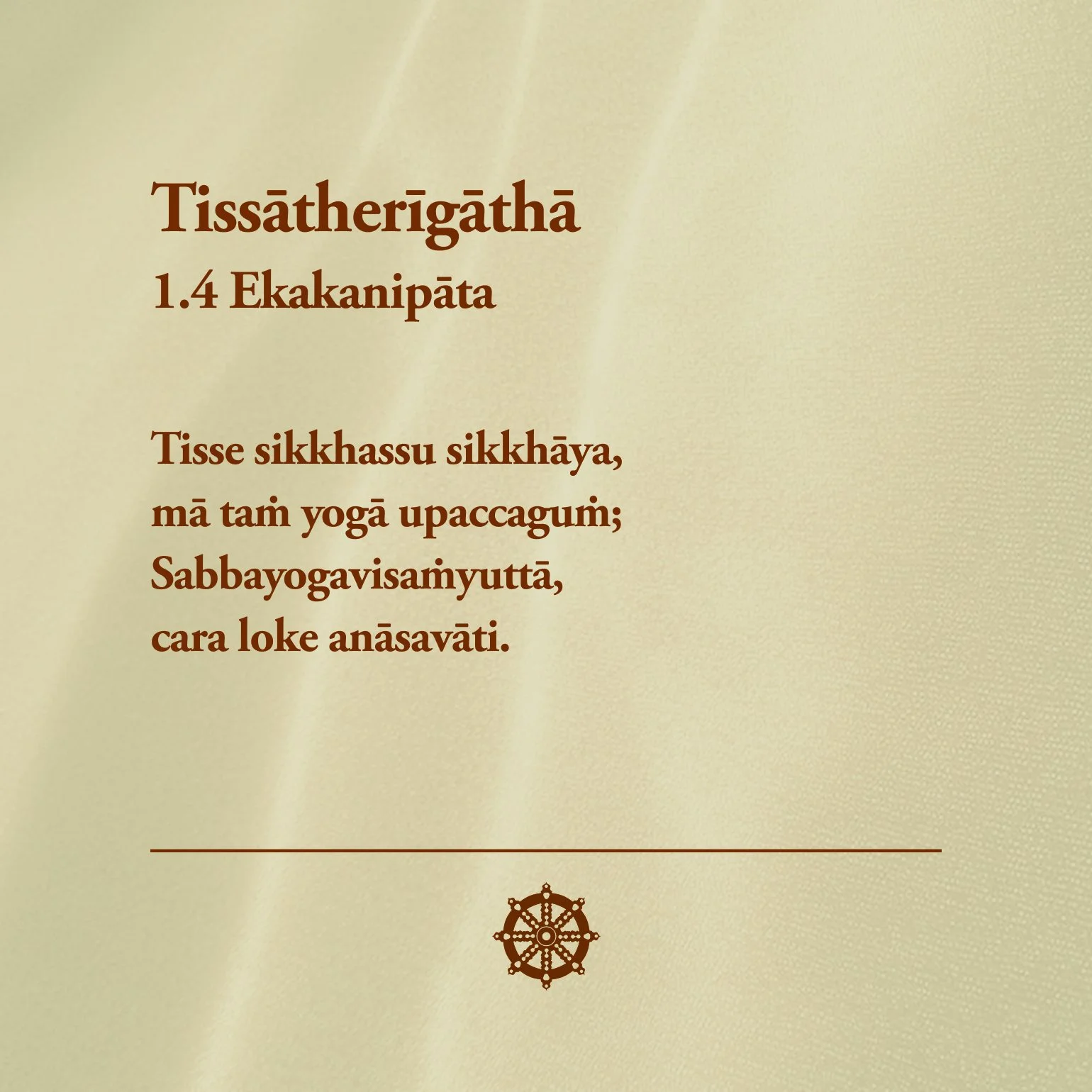 Tissā_1.jpg