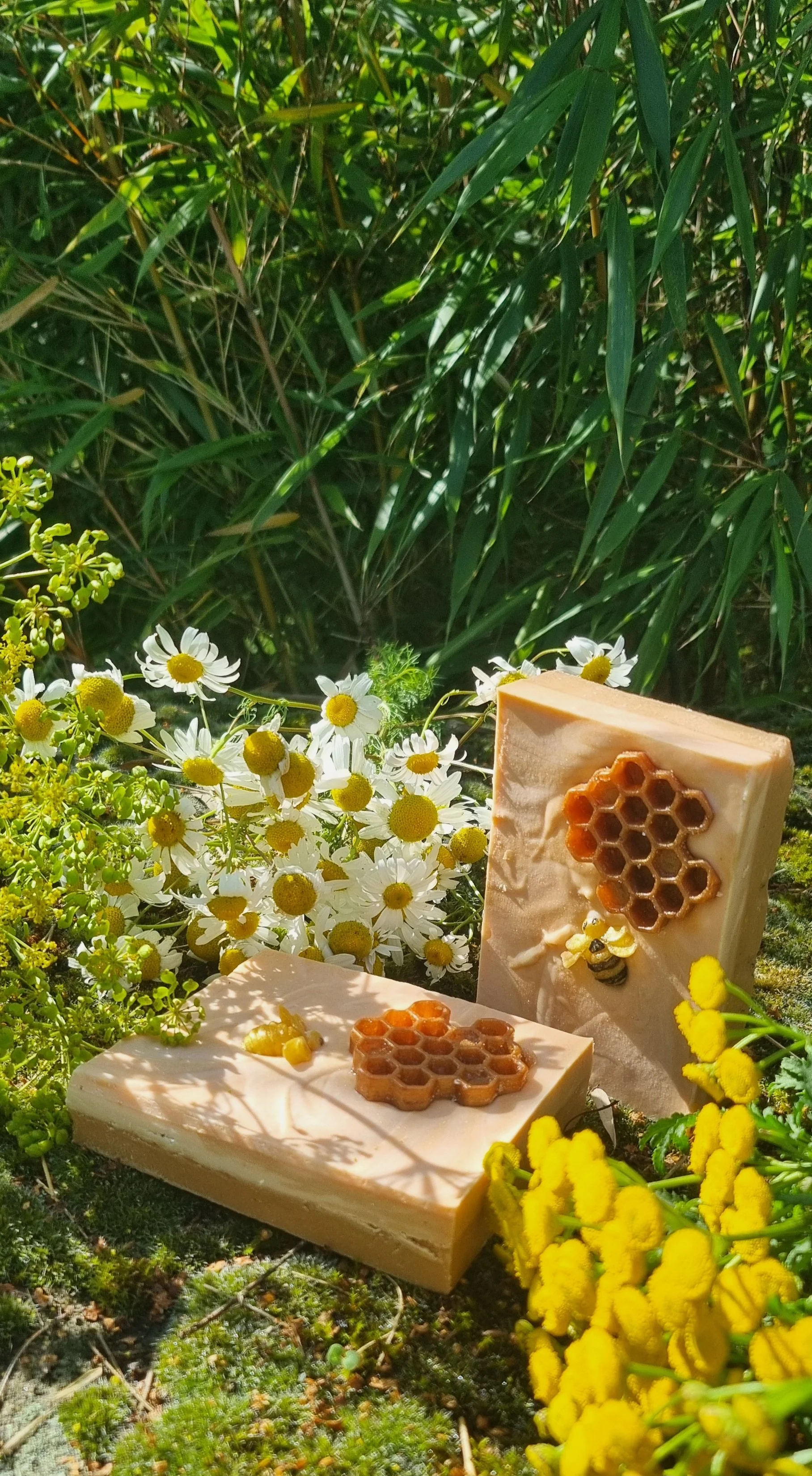 Bee Kind good photo 2.jpg