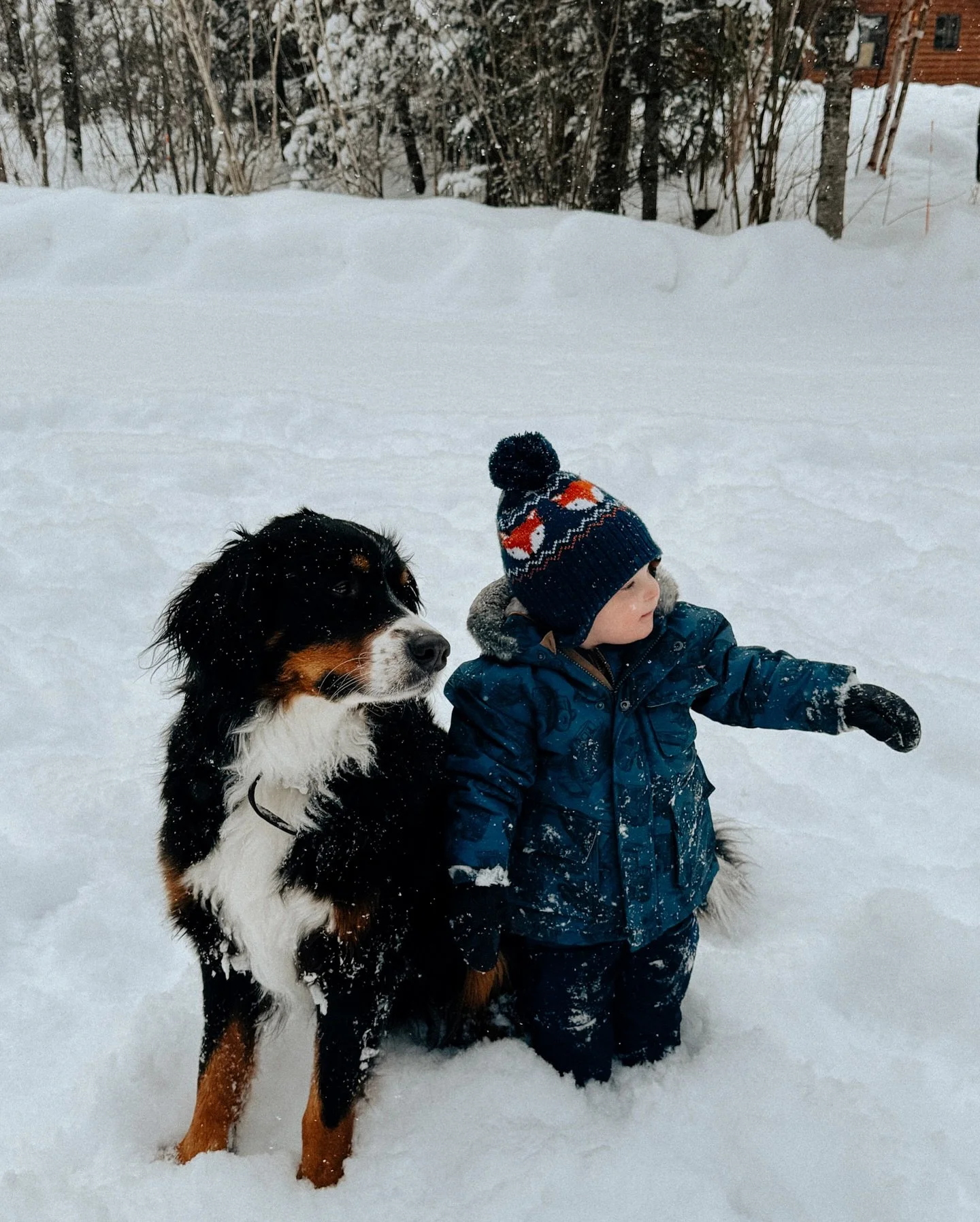 A tale of two pals 👶🏼🐾