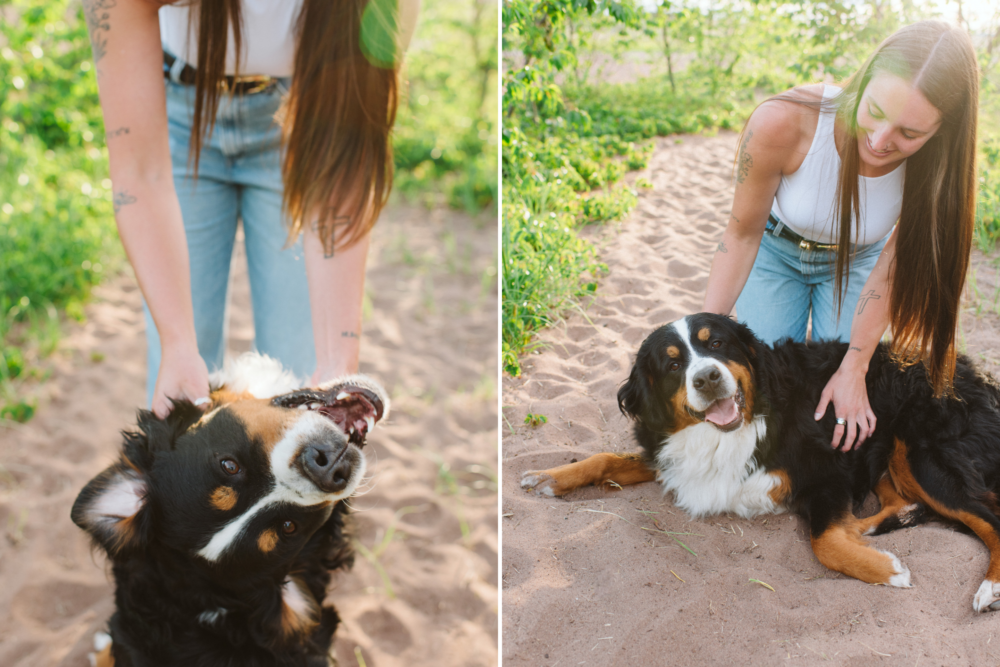 Duluth MN Dog Photographer