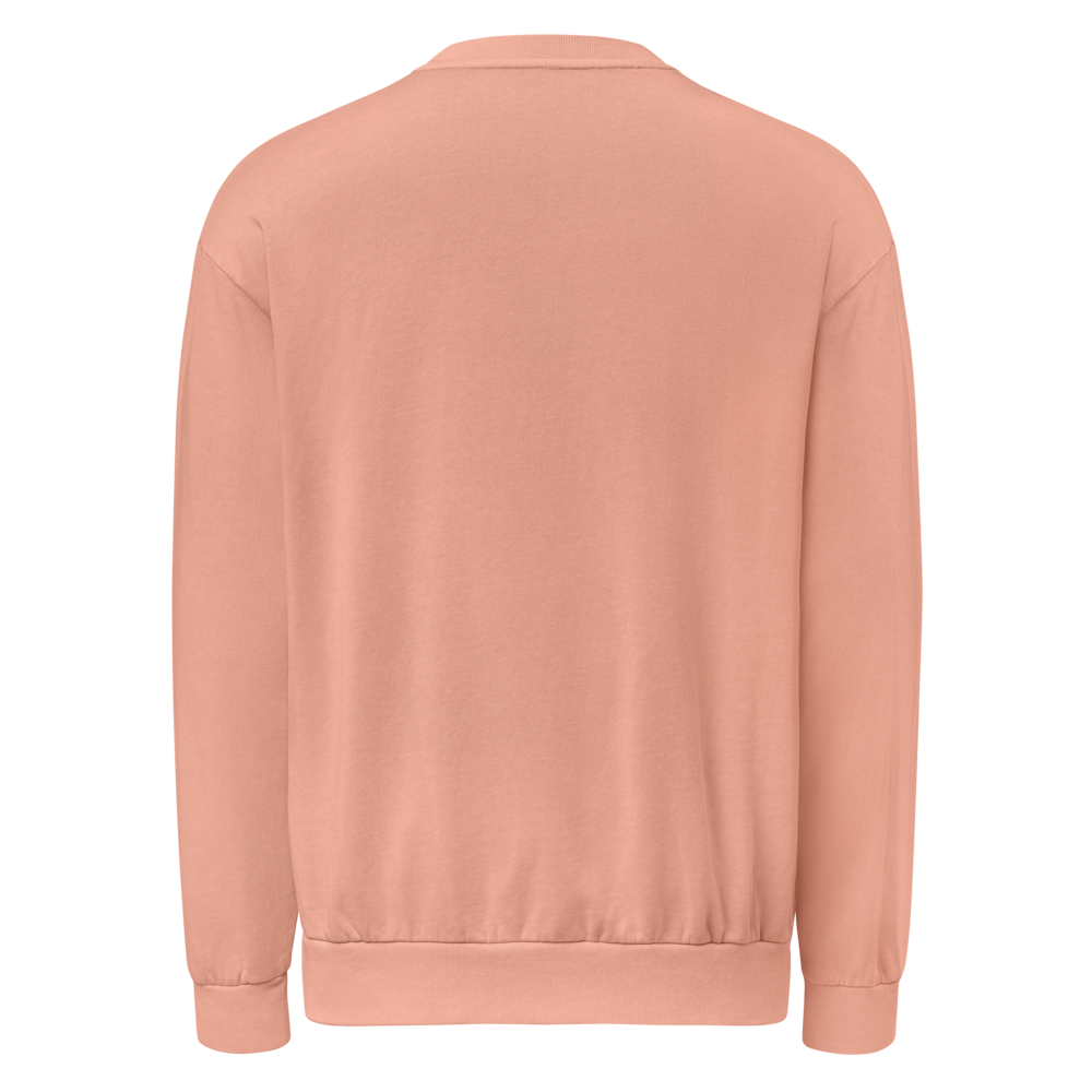 lane-seven-ls16004-i-urban-crewneck-sweatshirt-salmon-back-6971038951731.png