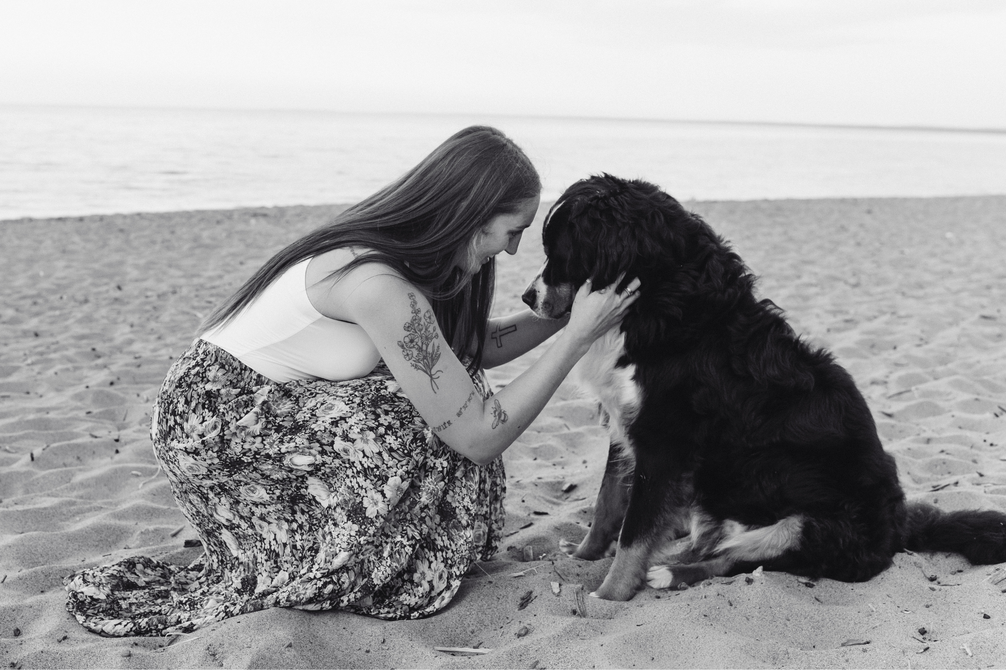 Duluth MN Dog Photographer