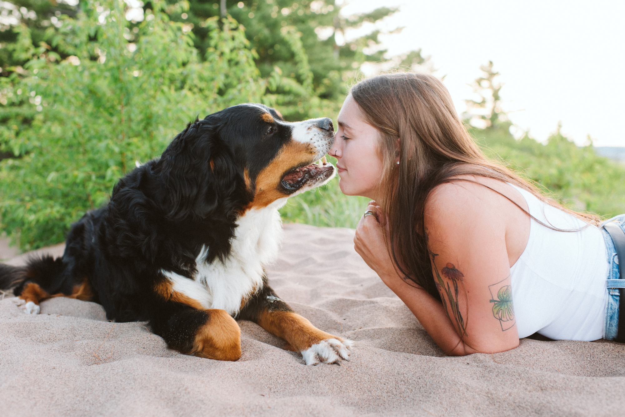 Duluth MN Dog Photographer