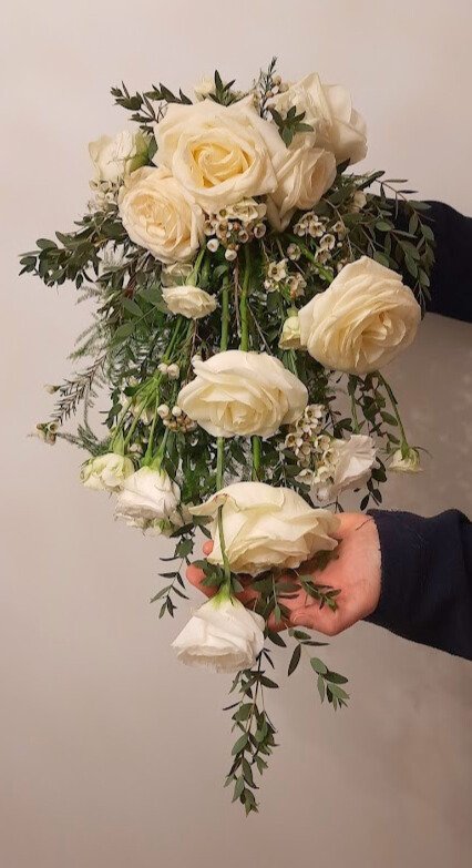 20240317_213512 - Edited.jpg