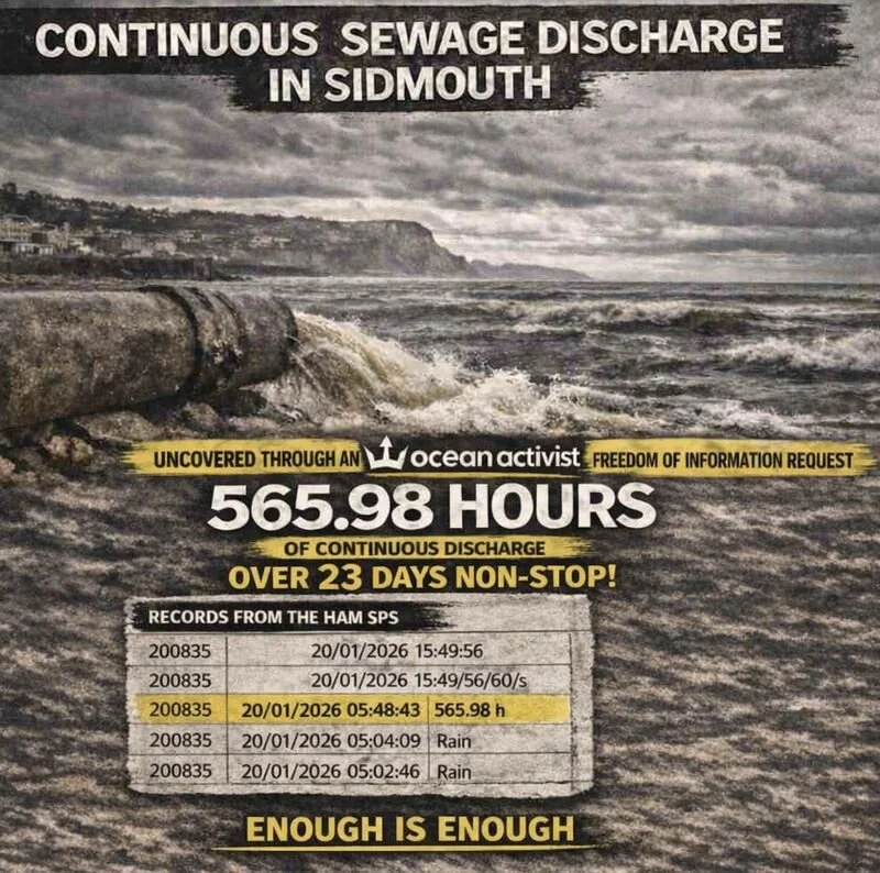 565.98 hours of poLlution