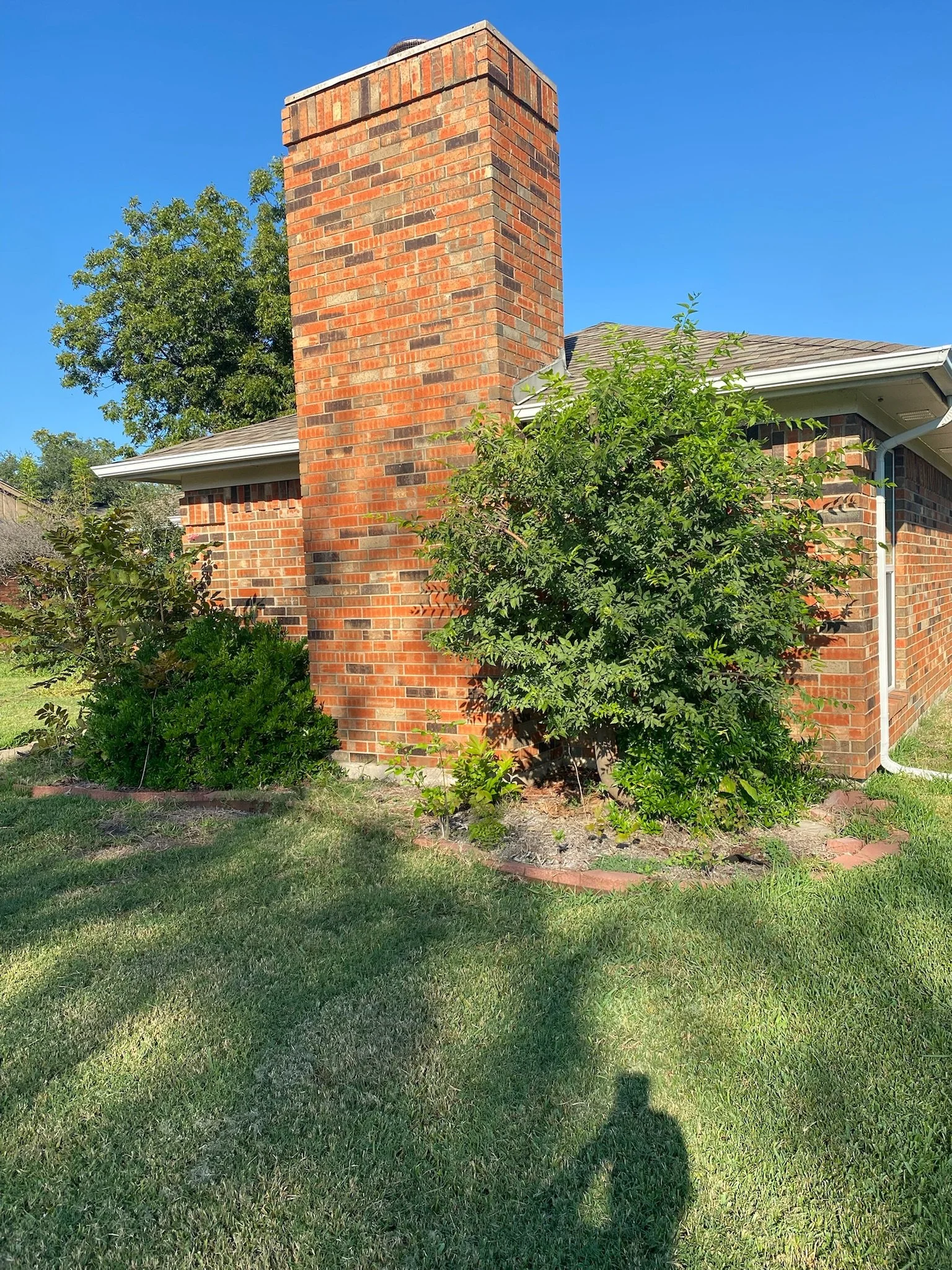 Before photo of an outdated garden bed in Garland, TX needing edging and new plant layout.