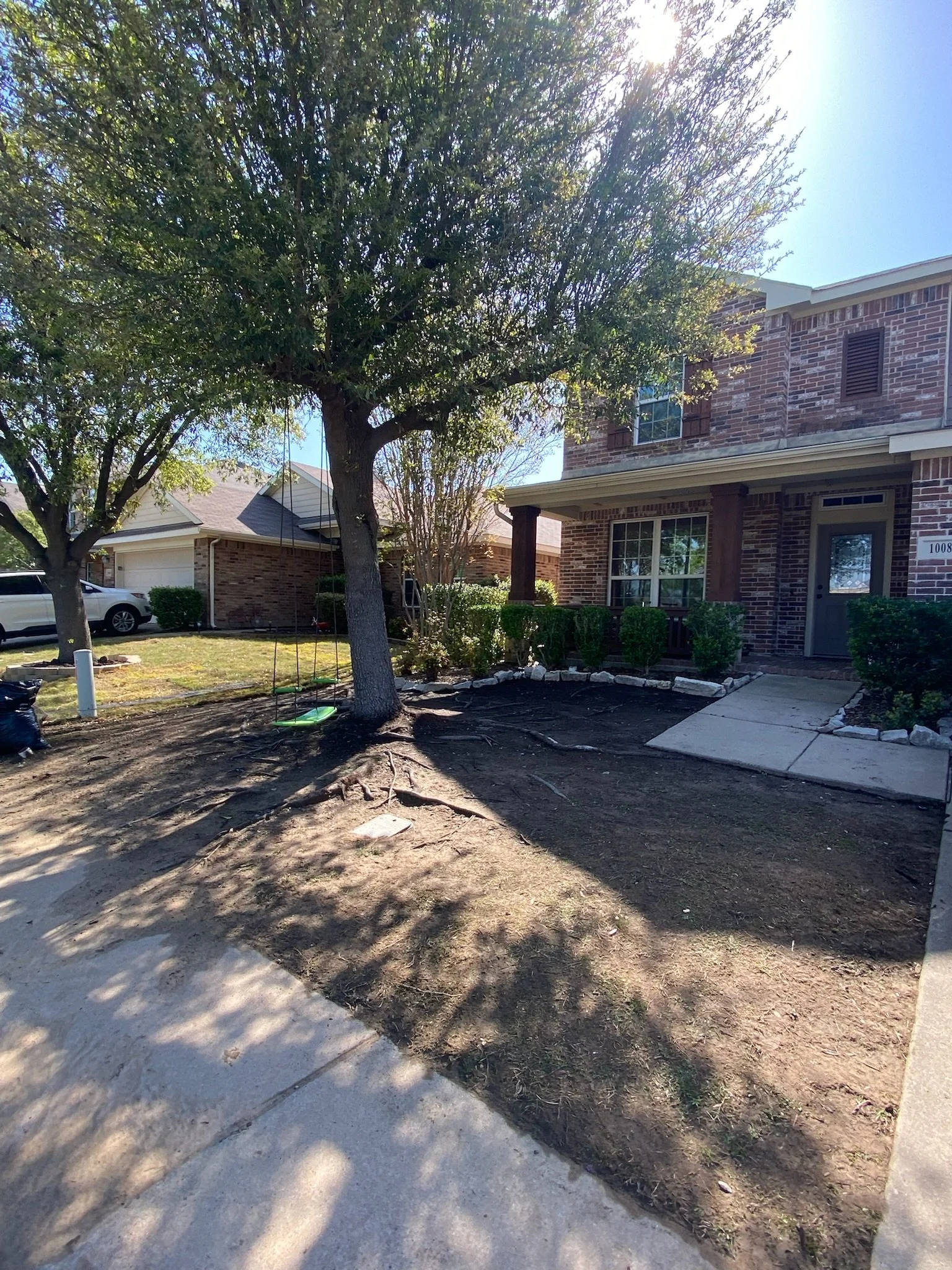 Before: tree roots causing barren lawn in Rockwall TX