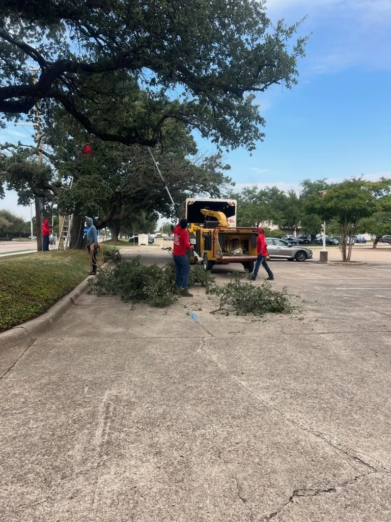 Commercial Tree Care Garland TX