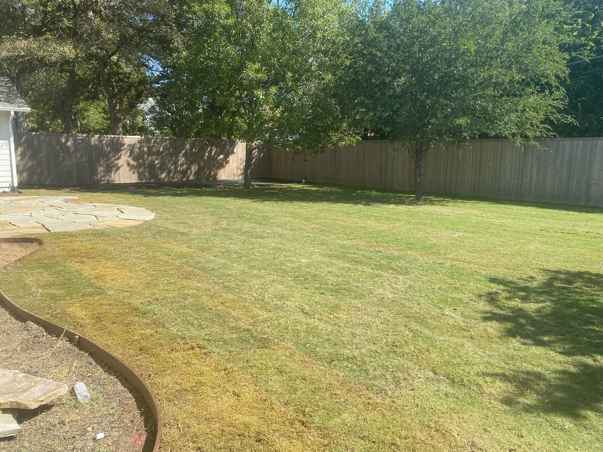 After: new Bermuda sod, irrigation system, grading, and patio installation in Dallas TX