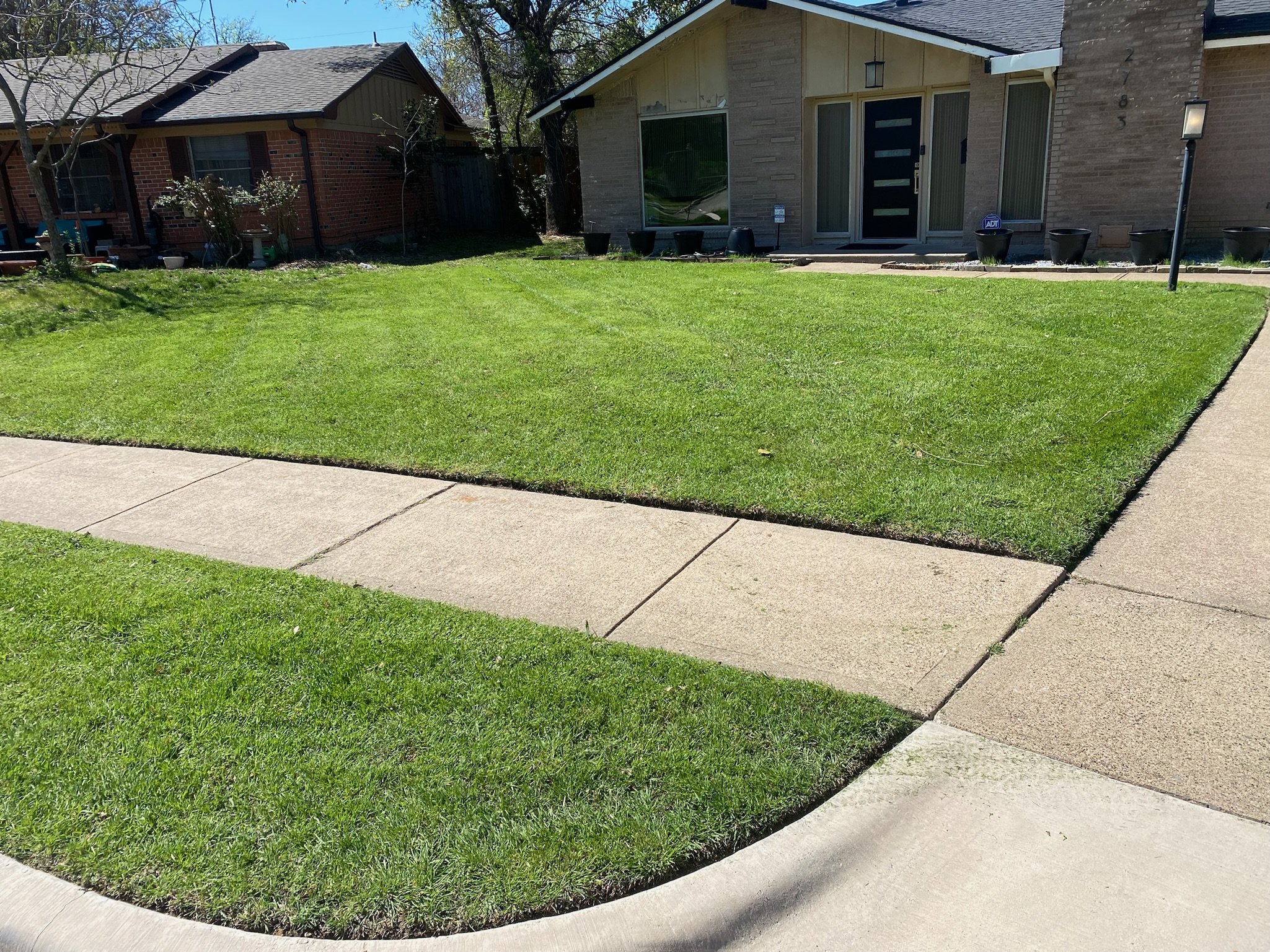 After photo showing a lush, vibrant lawn in Dallas, TX after three years of professional lawn fertilization and care.