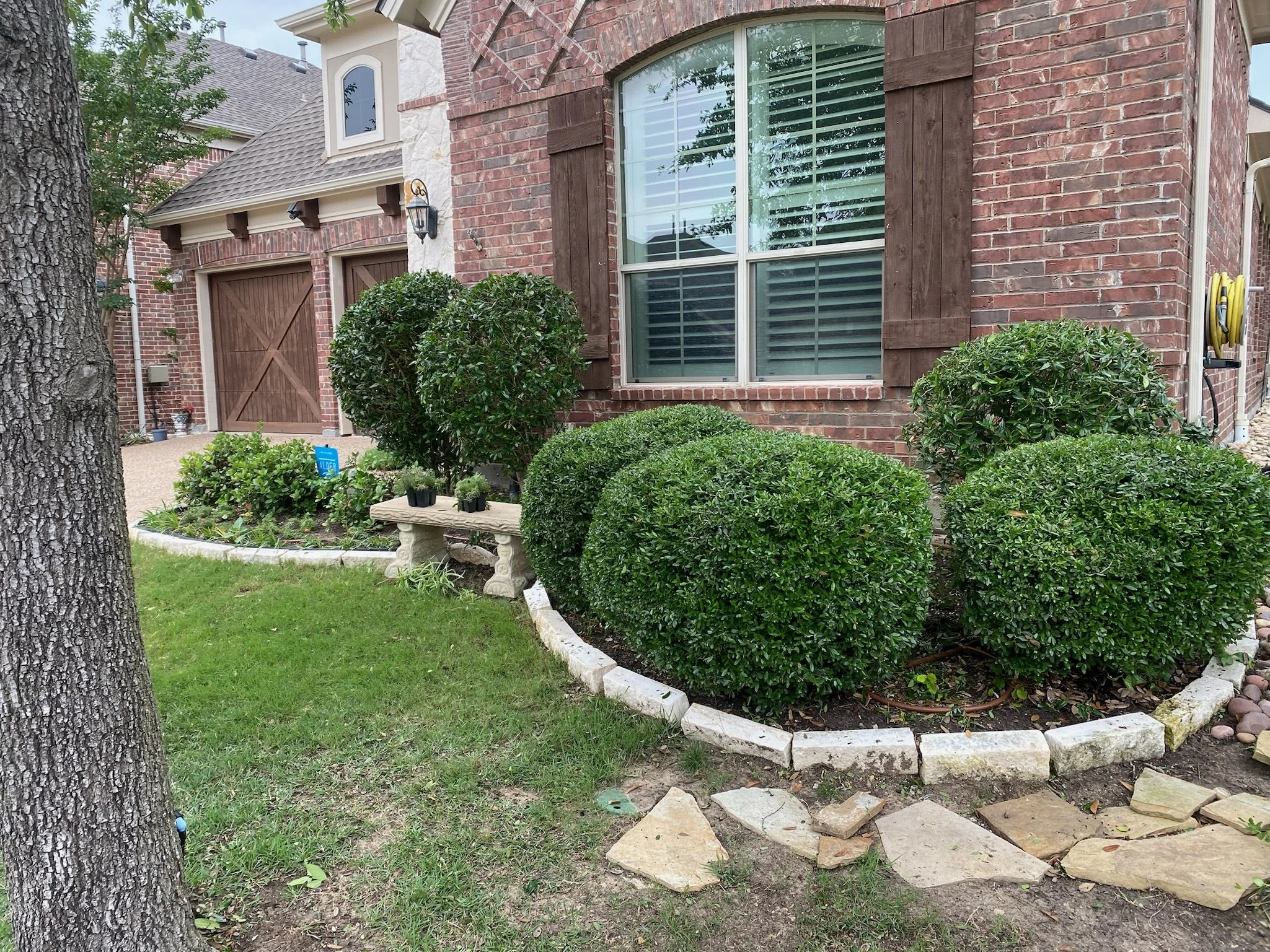 Shrub and Ornamental Pruning Garland TX