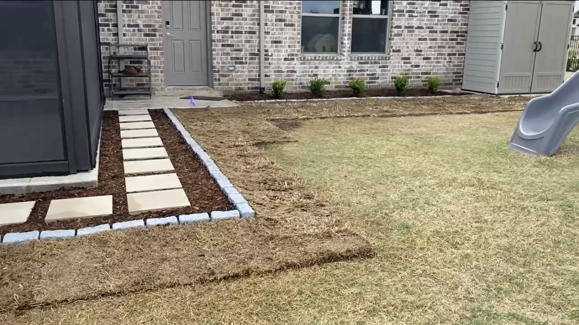 After: new aesthetic paver walkway with fresh sod blending into existing lawn in Sunnyvale TX
