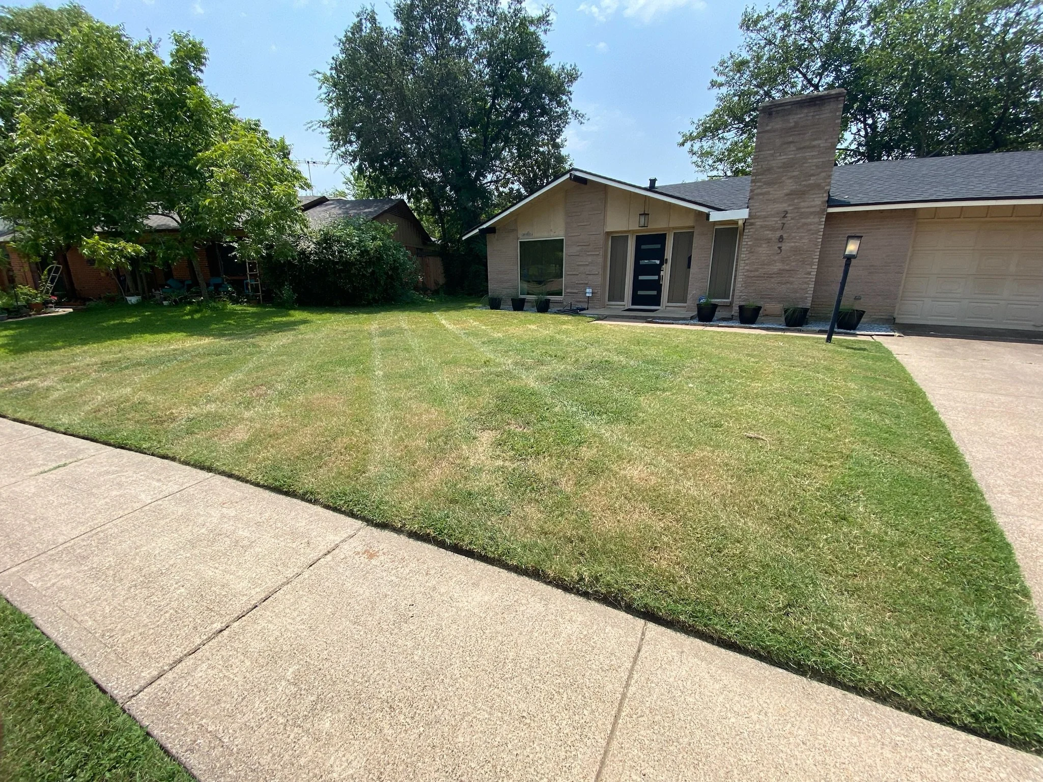 Before photo showing a patchy Dallas, TX lawn before long-term fertilization and lawn care services.