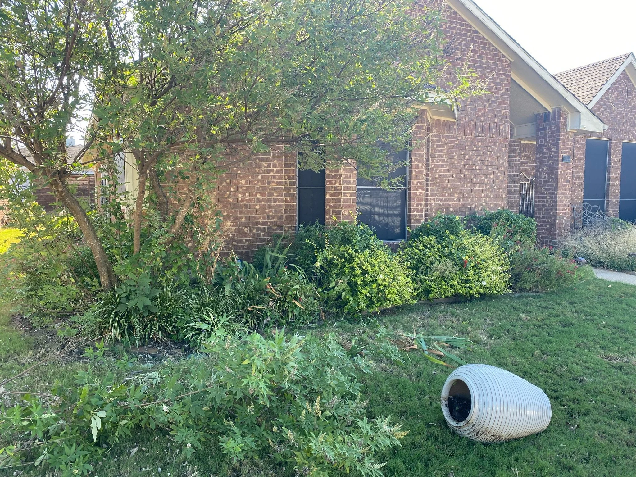 Before photo showing an outdated garden bed layout in Garland, TX.
