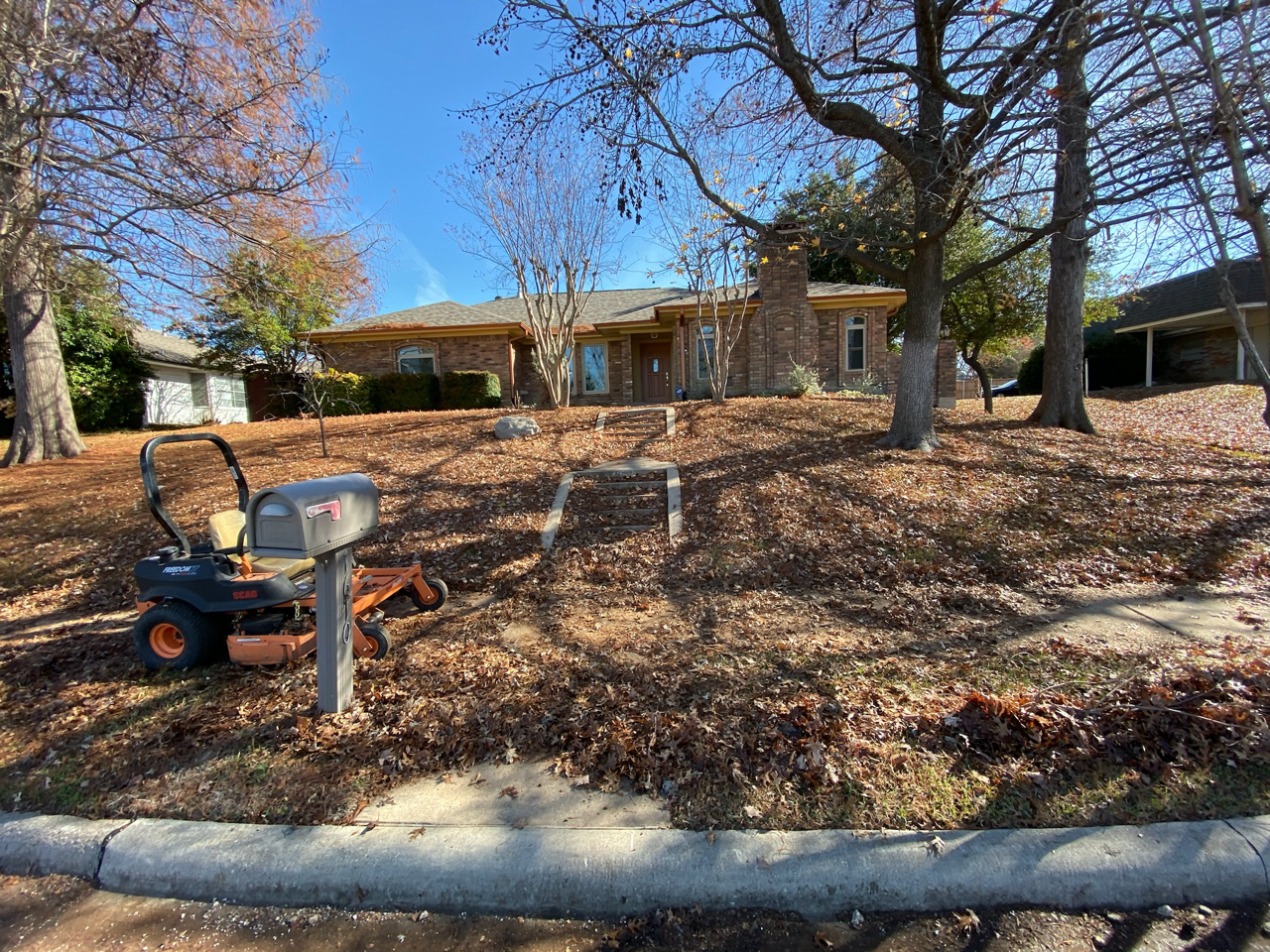 Before photo of a Garland, TX lawn covered in heavy fall leaves before seasonal cleanup.