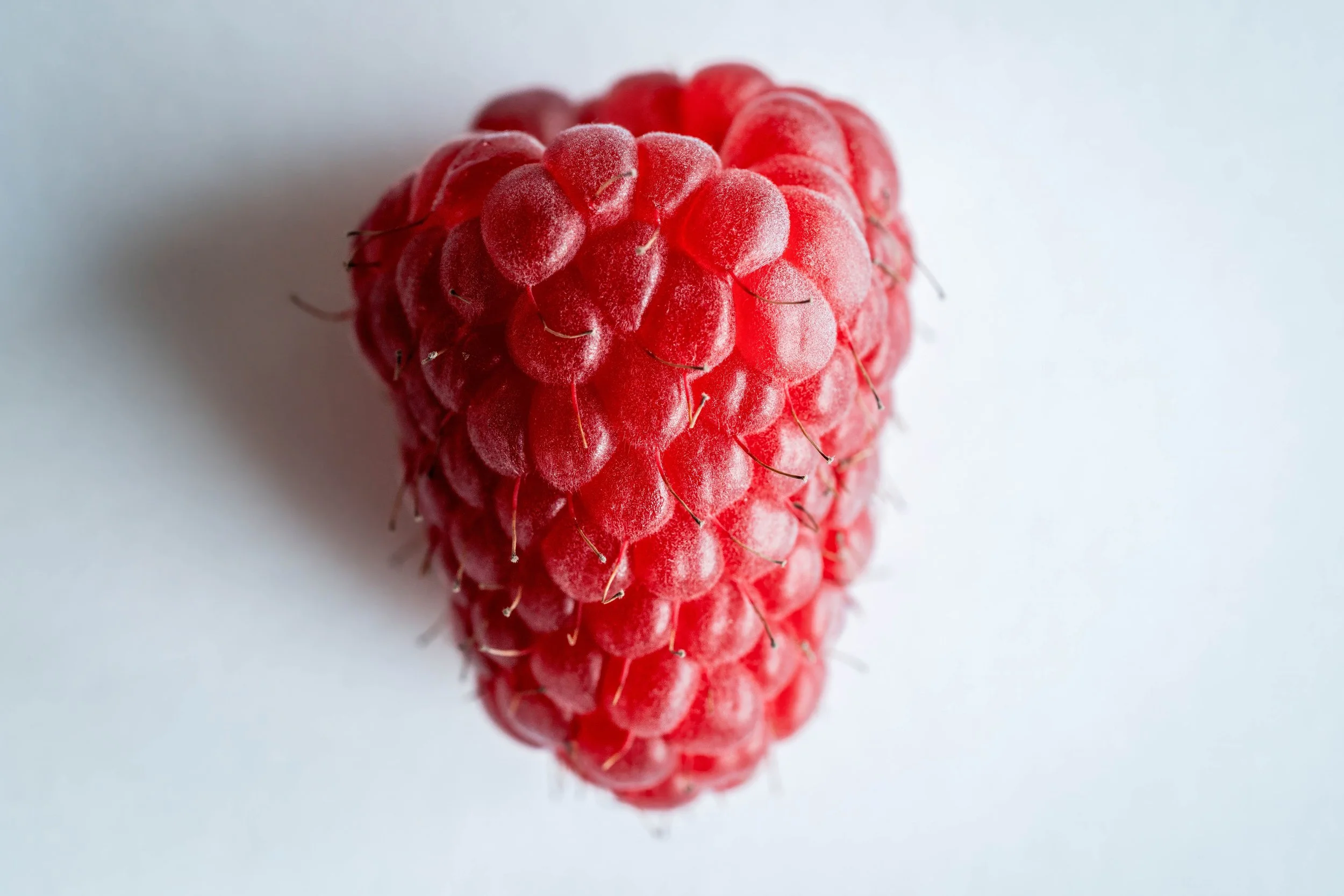 Close-up of a ripe red raspberry on a white background.
