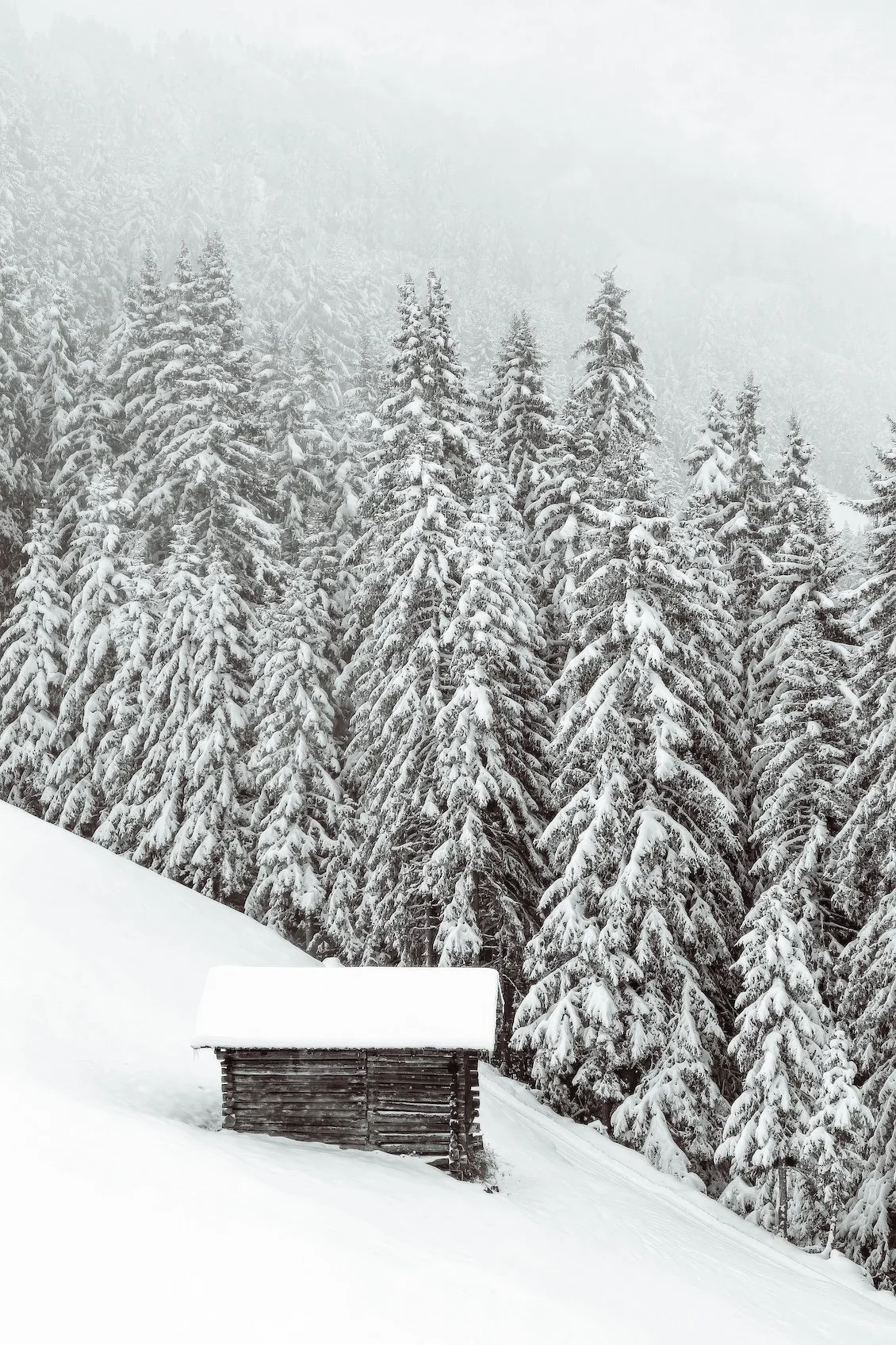 Klosters I - Heimatort: Limited Edition Citizenship Series (A3+ Size)