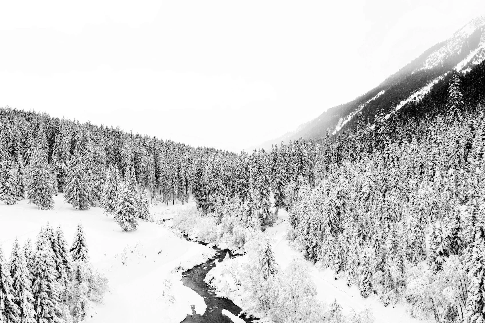 Klosters II - Winter Silence: Limited Edition Citizenship Series (A3+ Size)
