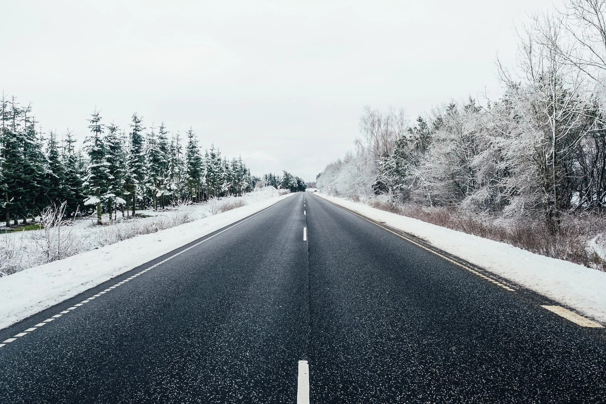 Empty road stretching into the distance with snow-covered trees on either side under a cloudy sky.