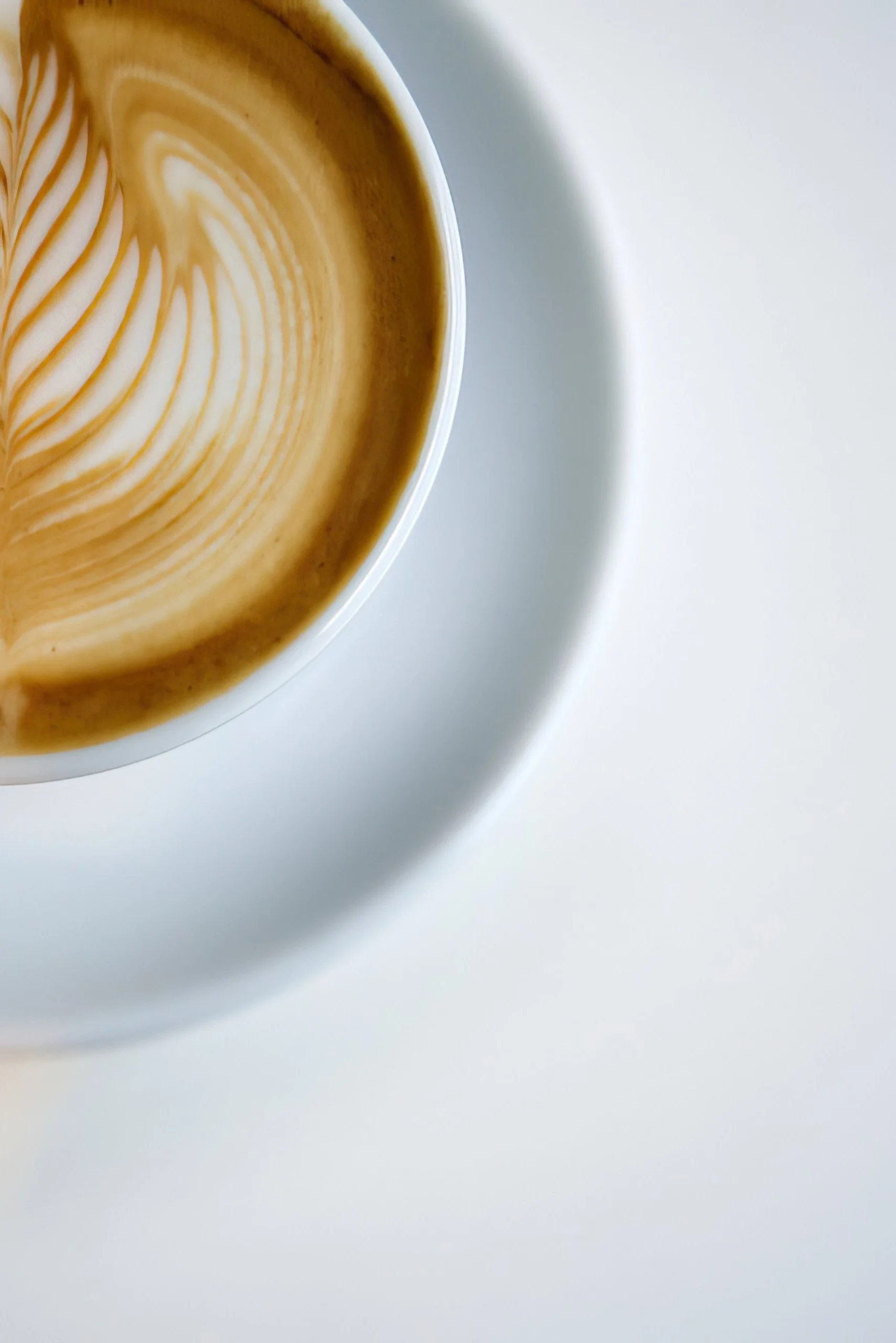 Close-up of a coffee cup with latte art on a white saucer.