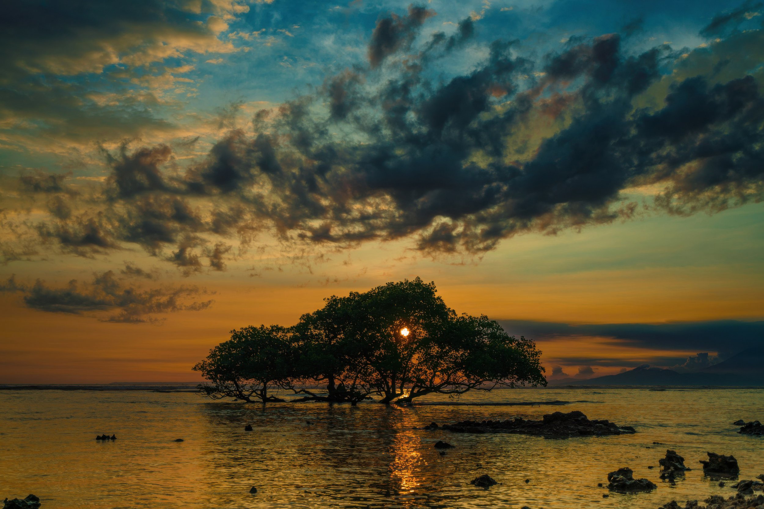 A sunset over a body of water with a cluster of trees partially submerged, and mountains in the background, under a partly cloudy sky.