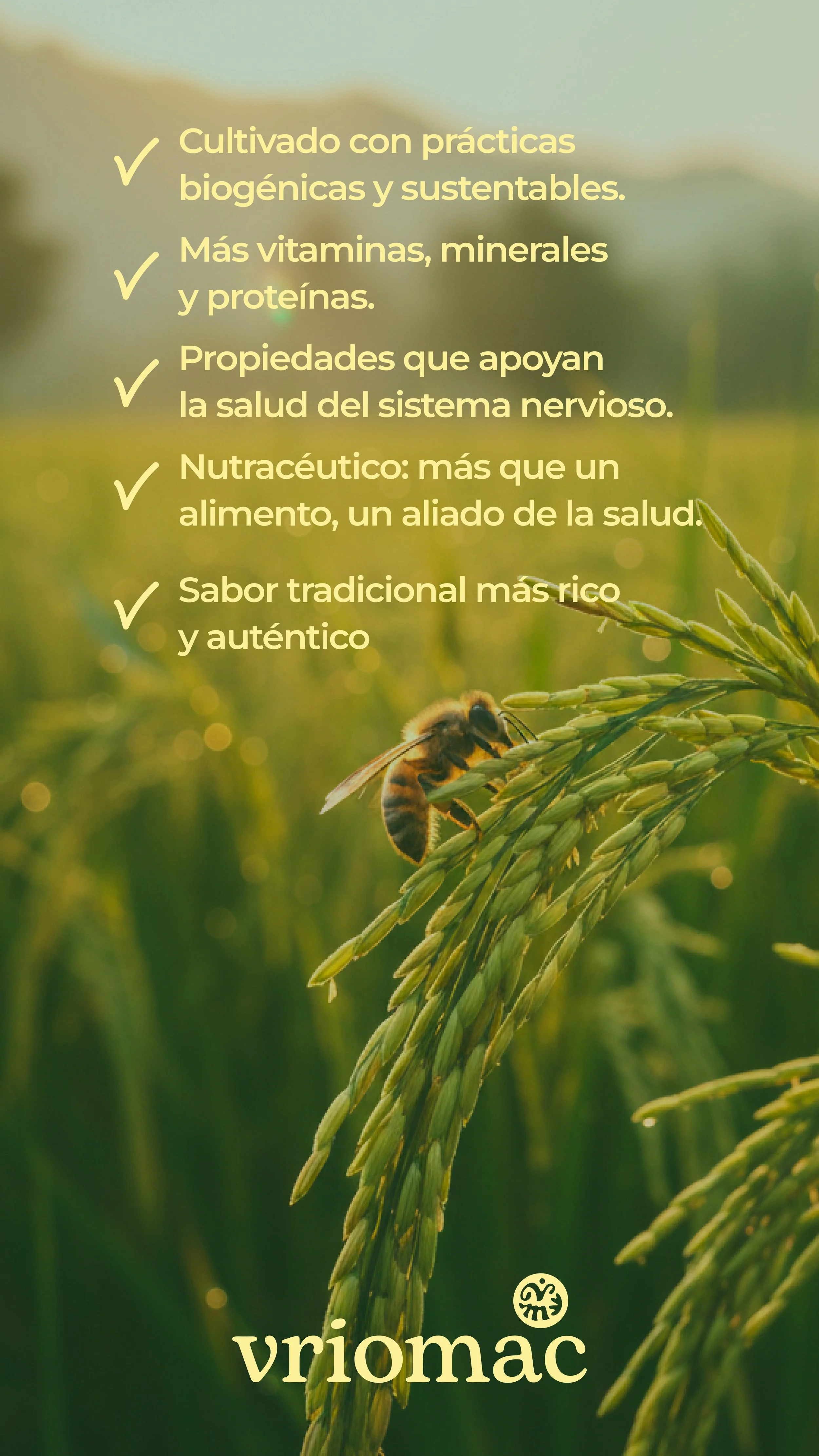 vriomax + asosiacion provincial de loja -1.jpg