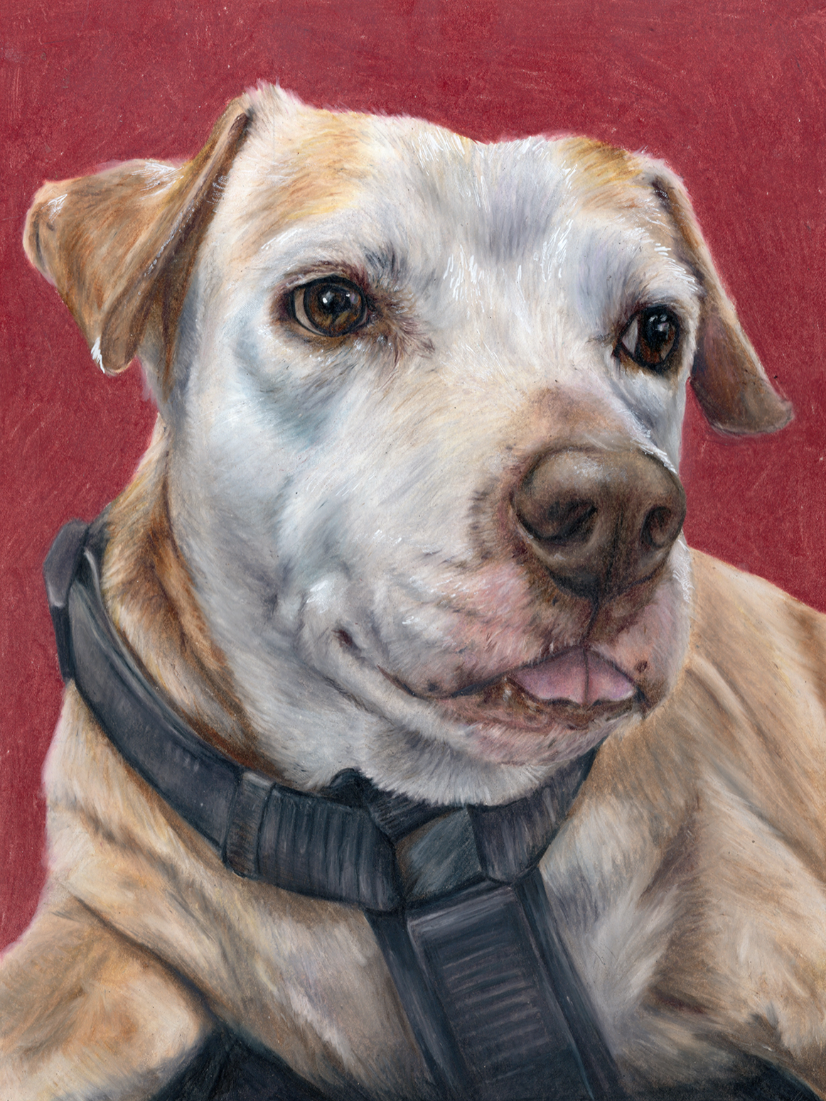 Blep.png